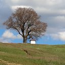 ���� �������, ������, 54 ���� - ��������� 20 ������ 2017 � ������ ���� ����������