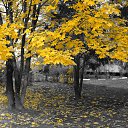 ���� ������, �������-�����, 62 ���� - ��������� 10 ������� 2017 � ������ ������ 08.10.2017 ���� ������ " �������"�