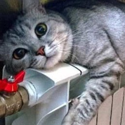 ���� �������, ����������, 47 ��� - ��������� 28 �������� 2017