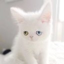 ���� Ummka, �����, 36 ��� - ��������� 15 ��� 2017 � ������ ���� ����������