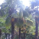 ���� ����� ������������, �������, 44 ���� - ��������� 30 ���� 2017 � ������ ���� ����������