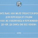 ���� �����, ������� - ��������� 22 ��� 2017 � ������ ����