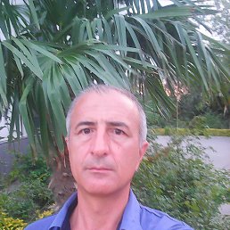 Yafredo, ����, 56 ���