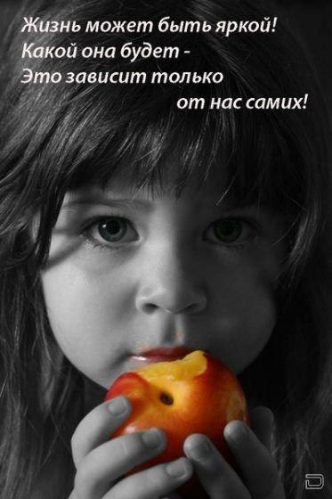   - 28  2017  15:09