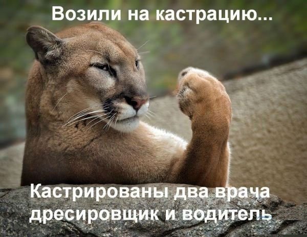 Comedy Club - 11 ������� 2017 � 07:08
