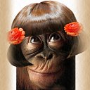 ���� ������, ���������, 68 ��� - ��������� 2 ������� 2017 � ������ ������ ��������