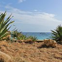  , , 60  -  16  2017    -, 2017