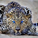 ���� ������, �����, 39 ��� - ��������� 10 ������� 2017 � ������ ���� ����������