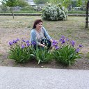 ���� ������, ������, 65 ��� - ��������� 14 ��� 2017 � ������ ���� ����������