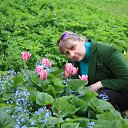 ���� ������, �����-���������, 54 ���� - ��������� 10 ���� 2017 � ������ ���� ����������