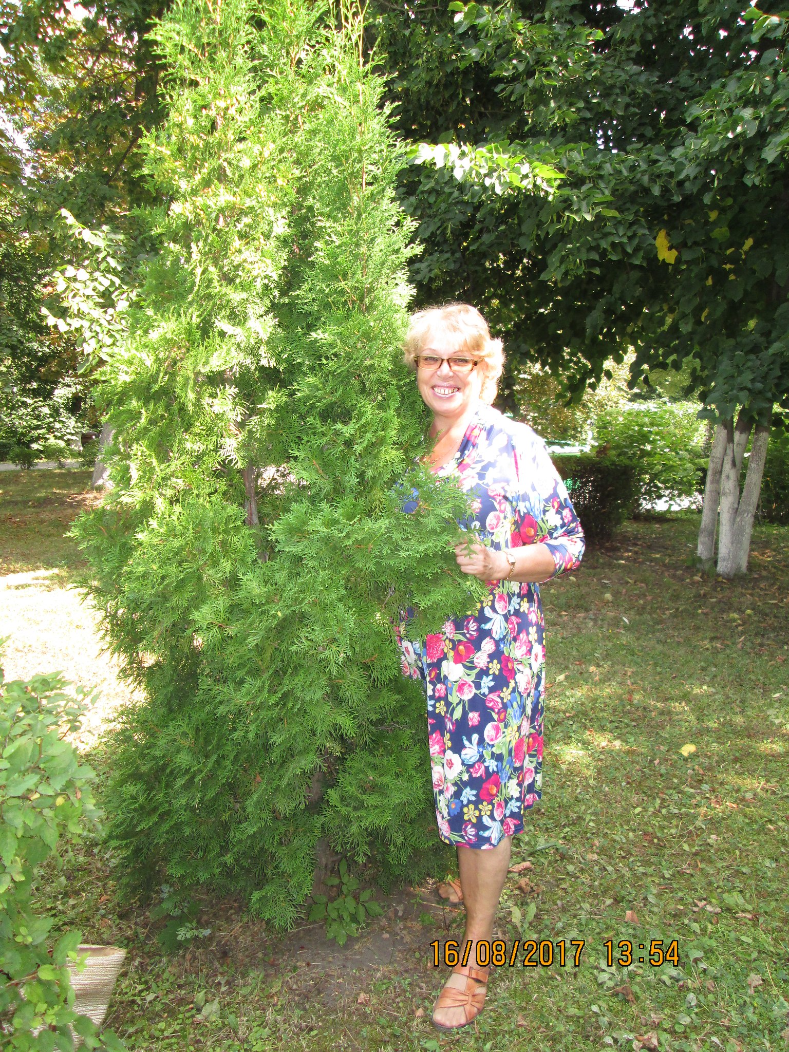  ***** - 17  2017  21:21