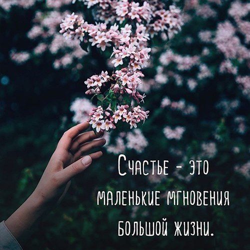    - 1  2017  01:10