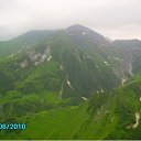 ���� Shmagi, �������, 55 ��� - ��������� 8 ������ 2017 � ������ ���� ����������