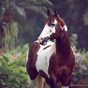 ���� ������, �����������, 75 ��� - ��������� 20 ���� 2017 � ������ ����Ȼ