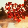 ���� ������, ������������ - ��������� 7 ��� 2017 � ������ �vk.com/fotokubiki�
