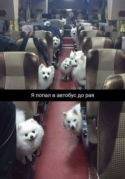   - 3