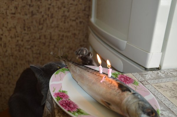     - 3
