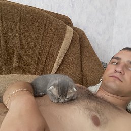 ���� ����, ��������, 36 ��� - ��������� 15 ���� 2017