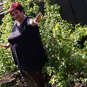 ���� ��������, ������-��-���� - ��������� 28 ������ 2017 � ������ ���� ����������