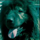 ���� �����, ���� - ��������� 10 ������� 2017 � ������ ���� ����������