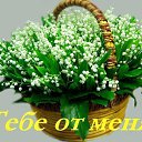 ���� �������, ������ ��������, 66 ��� - ��������� 14 ������� 2017 � ������ ������ ��������