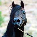 ���� ��������� ������������, ������, 25 ��� - ��������� 23 ��� 2017