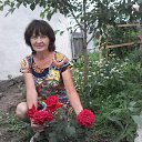 ���� ���, �����, 65 ��� - ��������� 16 ������� 2017 � ������ ������ ��������