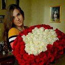 ���� �����, ����-��������� - ��������� 21 ���� 2017 � ������ ���� ����������