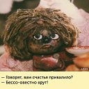 ���� ��������, �����-���������, 55 ��� - ��������� 8 ������� 2017 � ������ ���� ����������