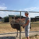 ���� �������, ����������, 46 ��� - ��������� 29 ���� 2017 � ������ ���� ����������