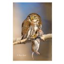 ���� Jack, ������, 44 ���� - ��������� 22 ������ 2017 � ������ ���� ����������