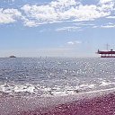  , , 60  -  30  2017   , 2017