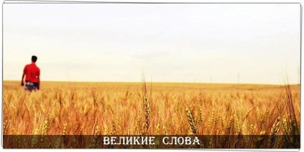 Есть люди, которые родились на свет, чтобы идти по жизни в одиночку, это не плохо и не хорошо, это ...