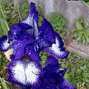 ���� �������, ������, 58 ��� - ��������� 3 ���� 2017 � ������ ���������� �����