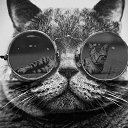 ���� Svyatozar, �������, 47 ��� - ��������� 16 ������� 2017 � ������ ���� ����������