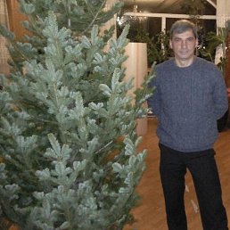 Andrey, �������