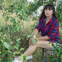 ���� �����, �������, 50 ��� - ��������� 28 ������� 2017 � ������ ���� ����������