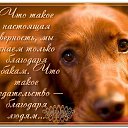 ���� Lizi, ������� - ��������� 10 ������� 2017 � ������ ���� ����������