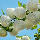 9.06.2017 �� ������� �� ��� - ��������!!!)))�