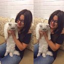 ���� ���������, ������, 34 ���� - ��������� 18 ���� 2017 � ������ ���� ����������