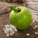 ���� ����, ���������, 59 ��� - ��������� 8 ������ 2017 � ������ ������ ��������