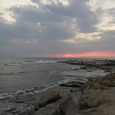 ���� ������, �����, 40 ��� - ��������� 2 ��� 2017 � ������ ���� ����������