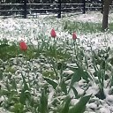 ���� ������, ������ - ��������� 11 ��� 2017 � ������ ������ ��������