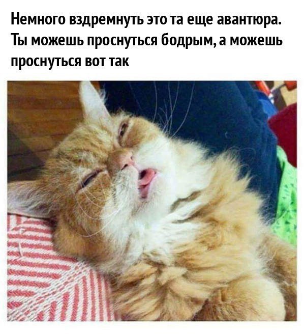 ����� �������� - 17 ������ 2017 � 06:28
