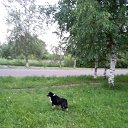 ���� ���������, ������-������, 50 ��� - ��������� 18 ���� 2017 � ������ ���� ����������