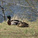 ���� ����, ����������, 57 ��� - ��������� 29 ������ 2017 � ������ ������ 2017�