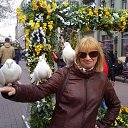 ���� ���, ��������, 52 ���� - ��������� 25 ���� 2017 � ������ ���� ����������