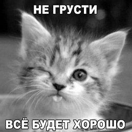 ���� ������, ������, 48 ��� - ��������� 30 �������� 2017