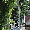  , , 60  -  12  2017   , 2017, ,.