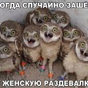 ���� ������, ����, 36 ��� - ��������� 20 ��� 2017 � ������ ������ ��������
